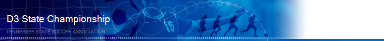 D3 2013-2014 Tennessee State Championship banner